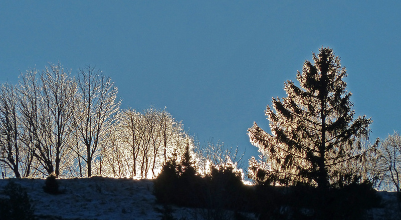 " la montagne magique "