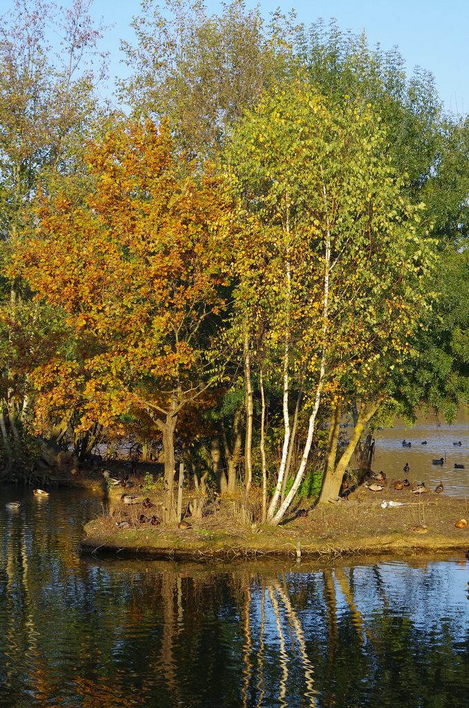 parc des des oiseaux Villars les Dombes