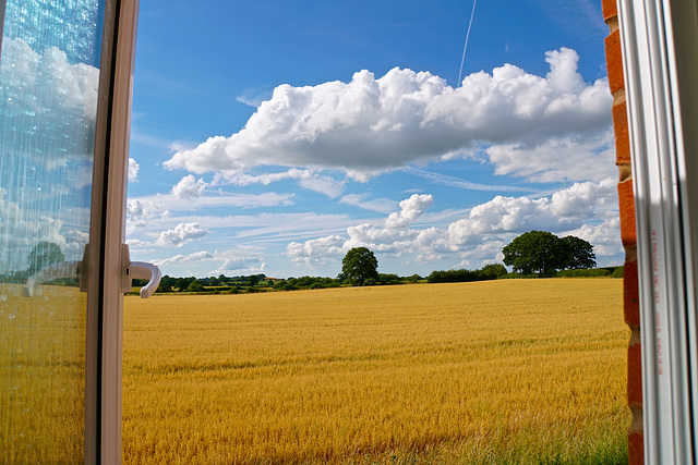 View over the fields