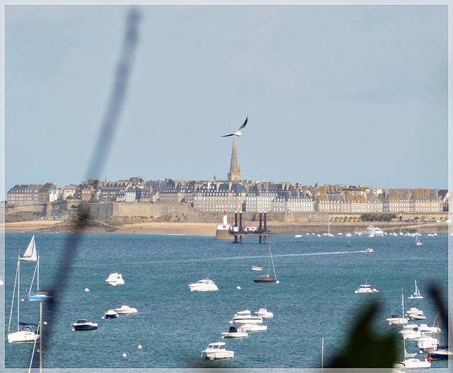 Vue vers Saint Malo depuis le chemin de randonnée à Dinard (35)