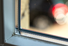Window