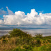 Thurstaston country park