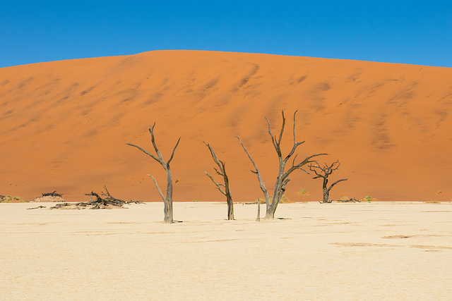 Namibia-0561