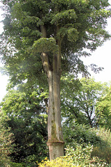 Jardin Vauban - Lille