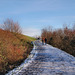 Weg auf der Heinrich-Hildebrand-Höhe (Duisburg-Wanheim-Angerhausen) / 20.01.2024