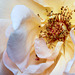 A weekend rose