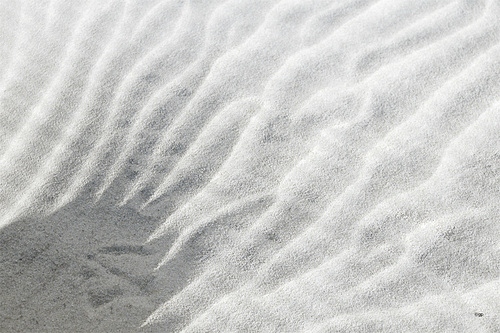 Soft (Texture)
