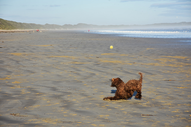 autumn at the beach