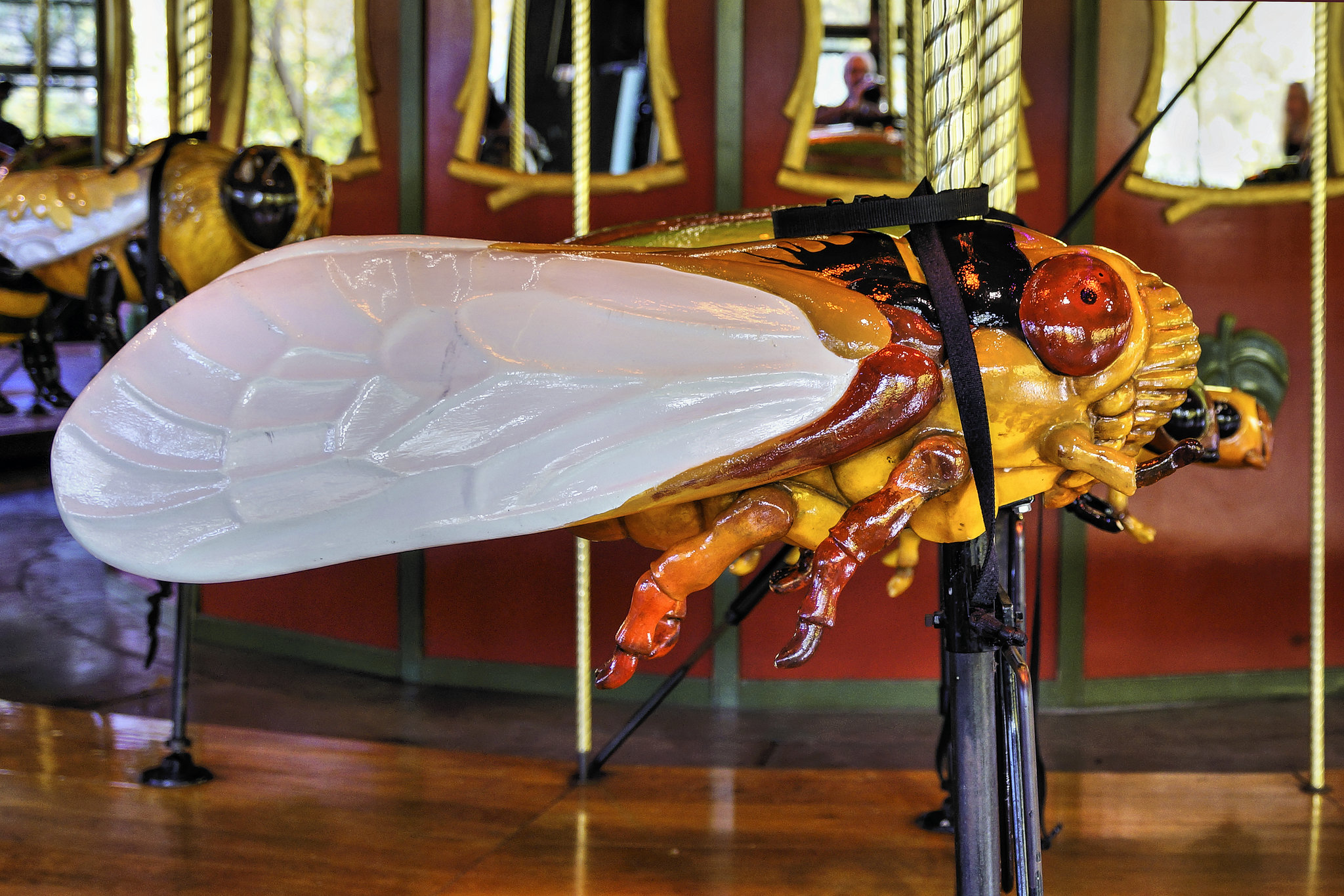 Cicada – Bug Carousel, Bronx Zoo, New York City, New York