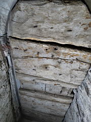 dittisham church, devon , c16 door to porch stair (1)