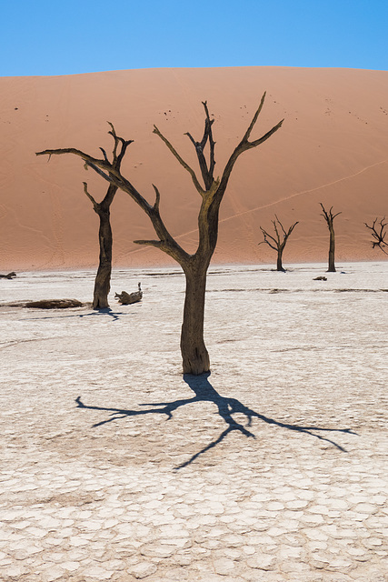 Namibia-0562