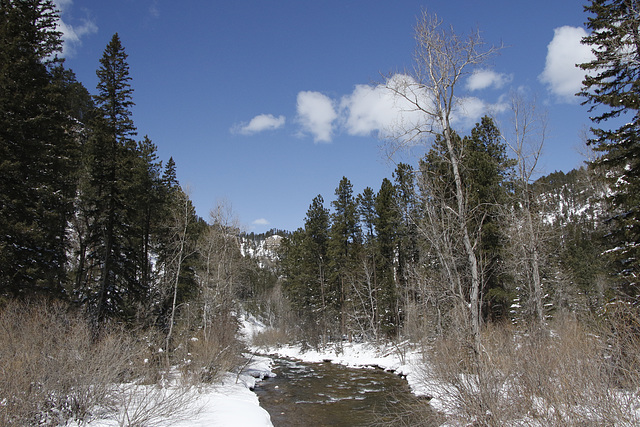 Spearfish Creek