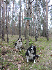 Wo geht es zum Schulzensee?