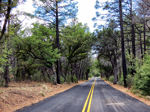 Bonita Canyon Drive