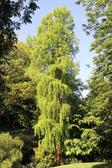 Jardin Vauban - Lille