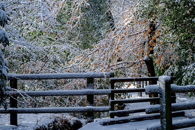The little bridge to the high path in snow