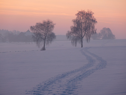 Abenddämmerung