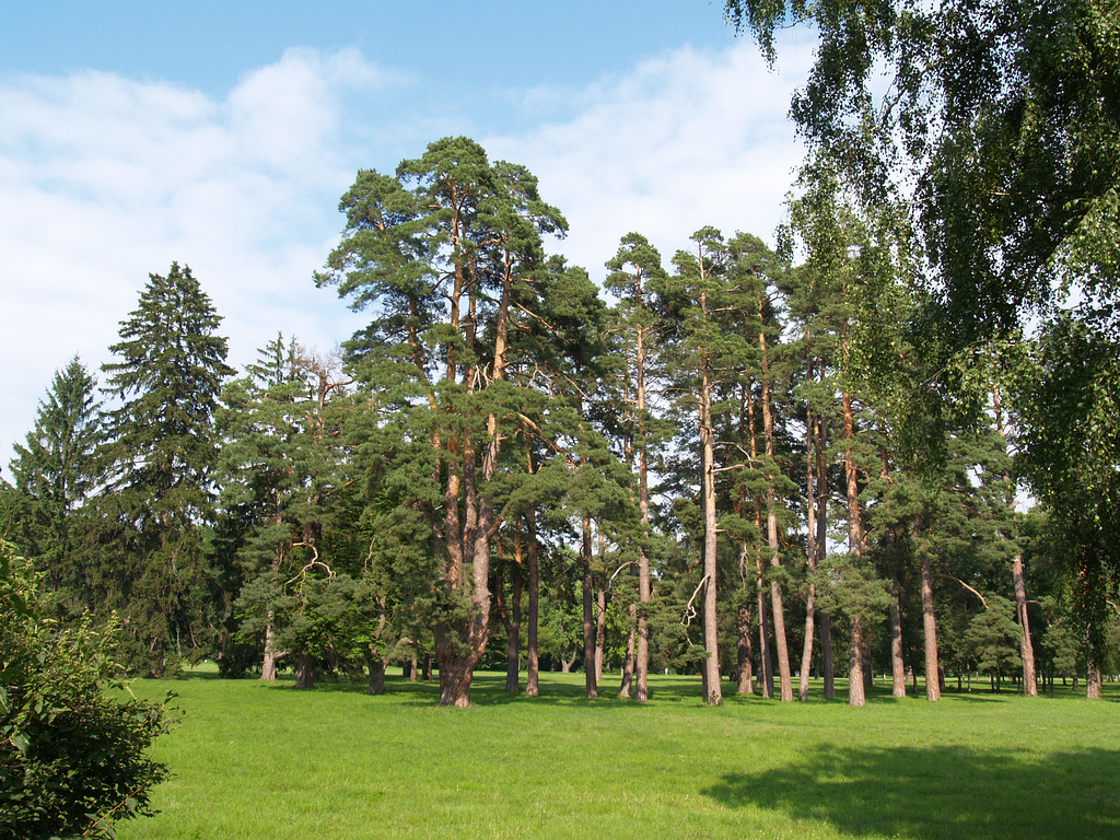 В парке Александрия / In the Park of Alexandria