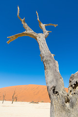 Namibia-0568