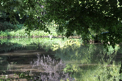 Jardin Vauban - Lille