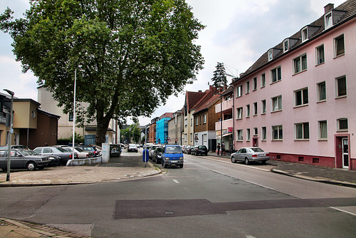 Darler Heide (Gelsenkirchen-Erle) / 25.07.2022