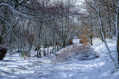 The path to the town centre in snow