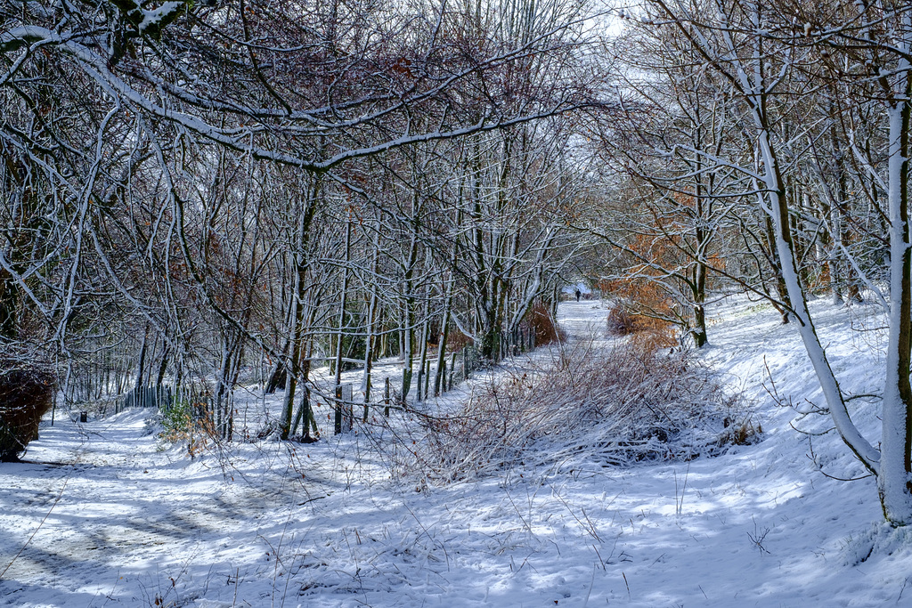 The path to the town centre in snow