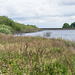 Broadstone Reservoir-7134