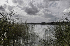 am Pfäffikersee (© Buelipix)