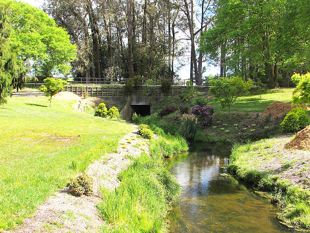 Reflections In A Stream.