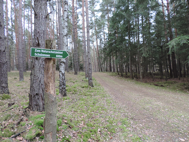 Im Alexanderdorfer Forst
