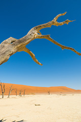 Namibia-0569