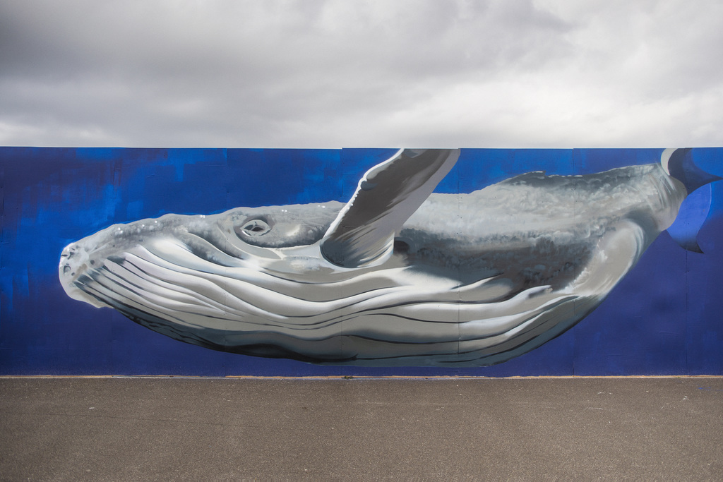 Whale Mural, Black Watch Parade, Dundee