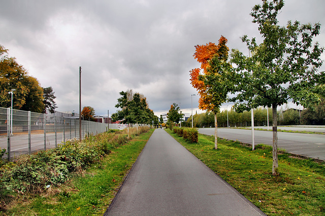 Radweg "Rheinischer Esel" am ehemaligen Bahnhof Witten Ost / 15.10.2022