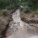 IMG 7171