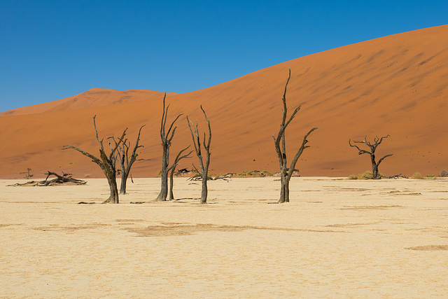 Namibia-0570