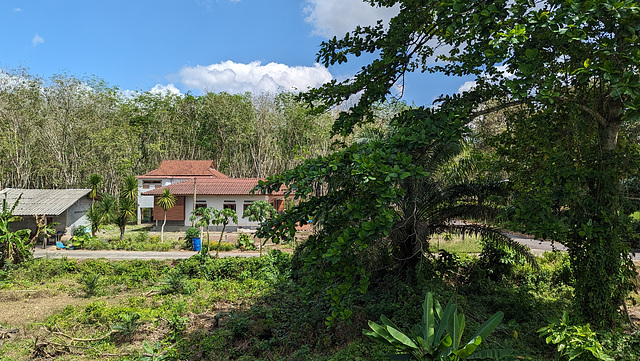 Village paisible parmi la végétation thaïlandaise