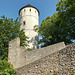 Burg Plesse-Kleiner Turm (2 PiP) Burg Plesse-Kleiner Turm (2 PiP)