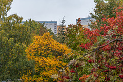 279-365, Willkommen im Herbst