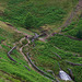 Footpath crossroads at William Clough