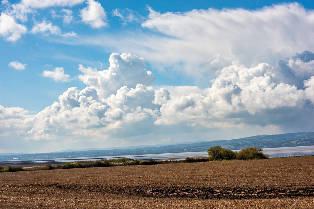 Wirral way