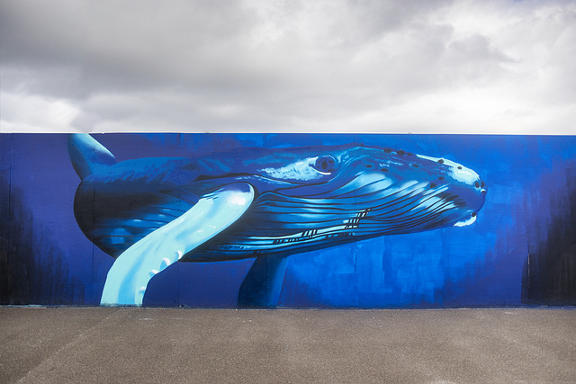 Whale Mural, Black Watch Parade, Dundee