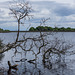 Broadstone Reservoir-7136