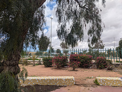 Deux bancs et une clôture / One fence along with two benches