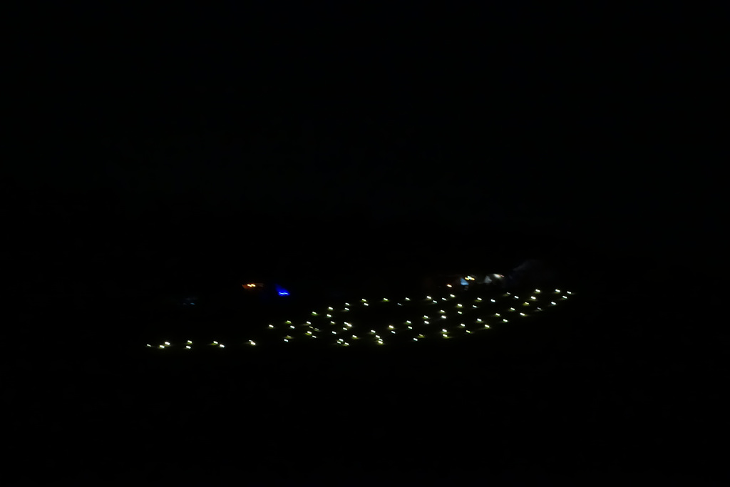 DSC02039