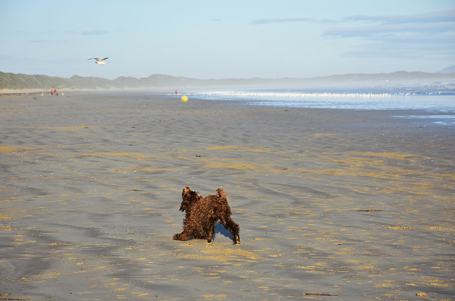 autumn at the beach