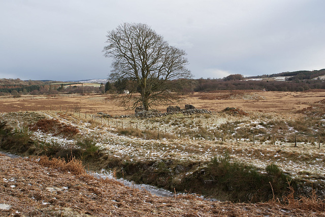 Galloway In Winter