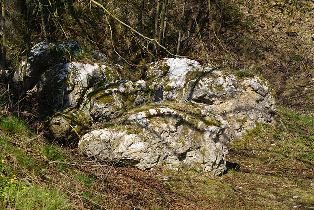 Gipsblöcke in ehemaligem Steinbruch