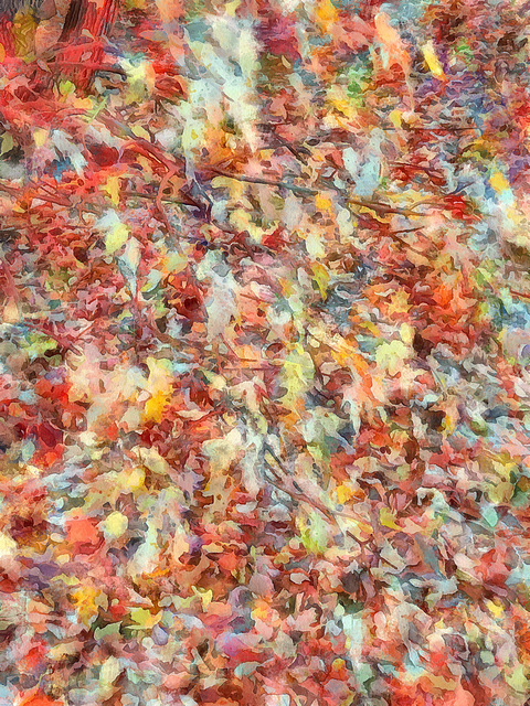 autumn leaves