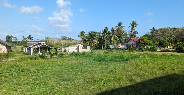 La campagne thaïlandaise vue depuis notre train